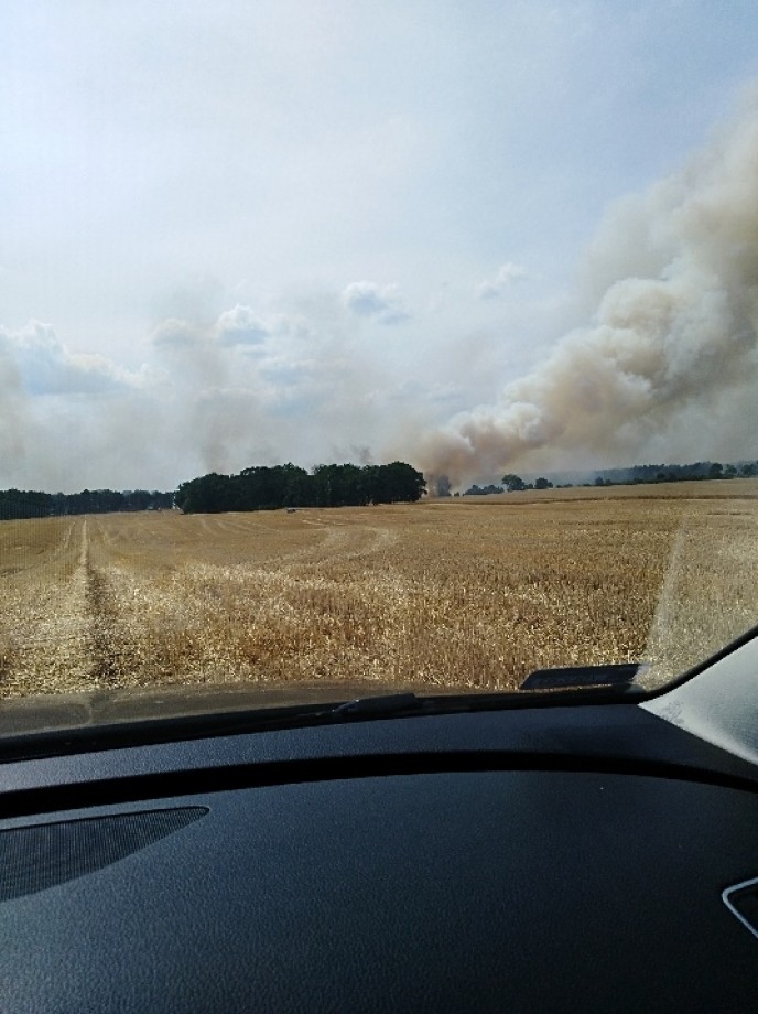 Pożar zbóż w Sarniku 